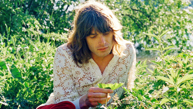 Neal Francis